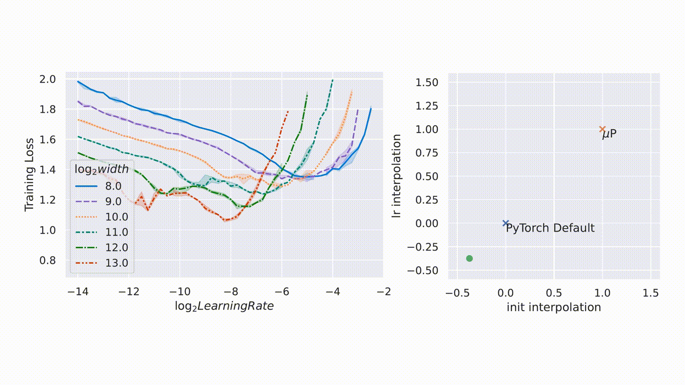 Two-panel animated figure demonstrating muP hyperparameter transfer. Left panel shows training loss plotted against learning rate for model widths from log2(width)=8 to log2(width)=13 (i.e., 256 to 8192 hidden units); under muP, all width curves share the same optimal learning rate. Right panel shows a 2D space of initialization scaling versus learning rate scaling, with muP and PyTorch default as distinct points, illustrating that muP achieves consistent transfer.